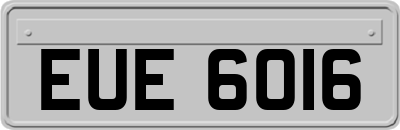 EUE6016