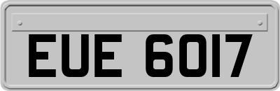 EUE6017