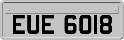 EUE6018