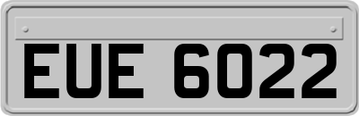EUE6022