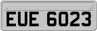 EUE6023