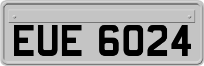 EUE6024