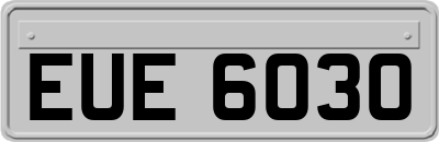 EUE6030
