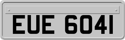 EUE6041