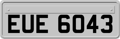 EUE6043