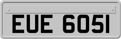 EUE6051