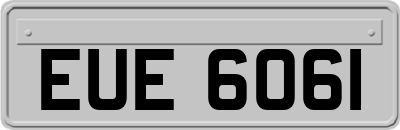 EUE6061