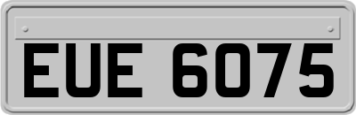 EUE6075