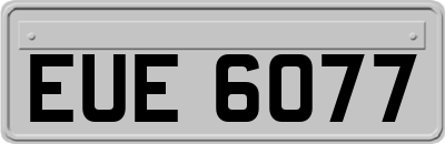 EUE6077