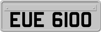 EUE6100
