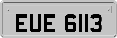 EUE6113