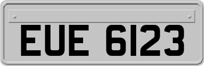 EUE6123