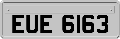 EUE6163