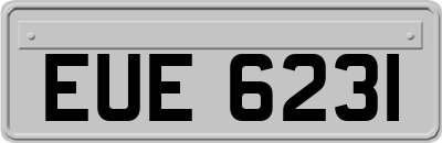 EUE6231