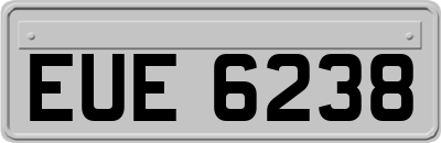 EUE6238