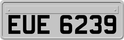 EUE6239