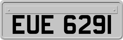 EUE6291