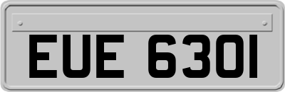 EUE6301