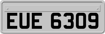 EUE6309