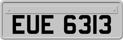 EUE6313