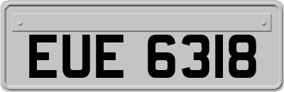 EUE6318