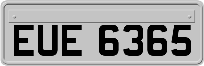 EUE6365