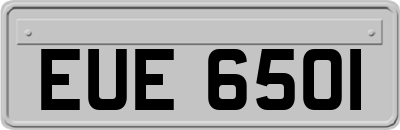 EUE6501