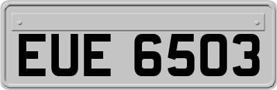 EUE6503