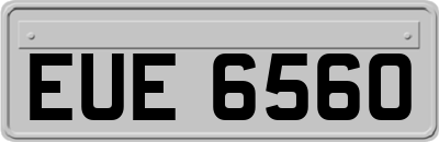 EUE6560