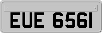 EUE6561