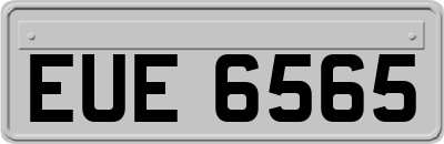 EUE6565