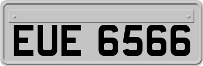EUE6566