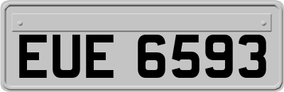 EUE6593
