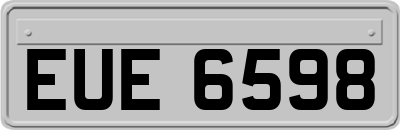 EUE6598