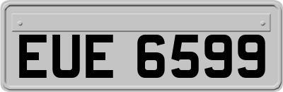 EUE6599