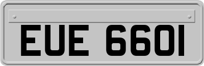 EUE6601