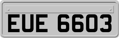 EUE6603