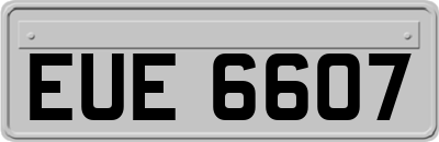 EUE6607