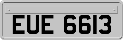 EUE6613
