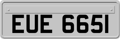 EUE6651