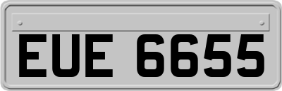 EUE6655