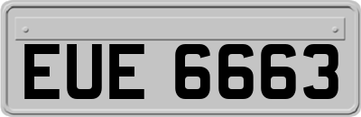 EUE6663