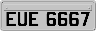 EUE6667