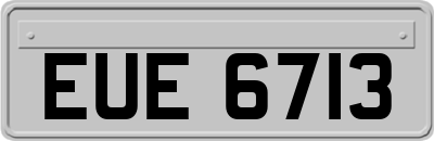 EUE6713
