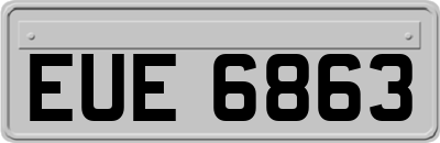 EUE6863