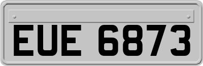 EUE6873