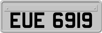 EUE6919