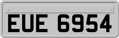 EUE6954