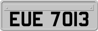 EUE7013