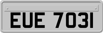 EUE7031